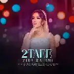 دانلود آهنگ دوتایی از زیبا رحیمی
